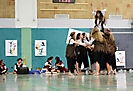 Tanzcocktail 2015_261