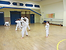 Training 2013_6