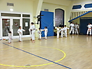 Training 2013_13