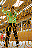 Saison2013/14_55