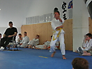 31.05.2008 Wettkampf Jeinsen_9